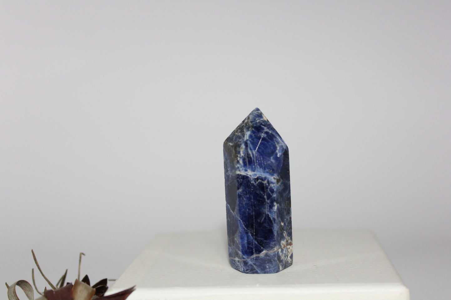 Generator - Sodalite - sml/med