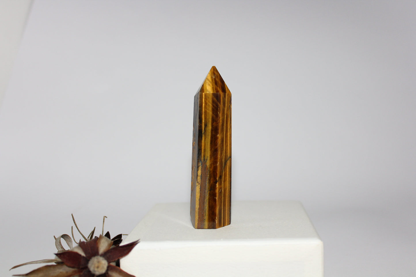 Generator - Tiger eye - med