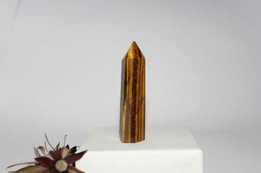 Generator - Tiger eye - med