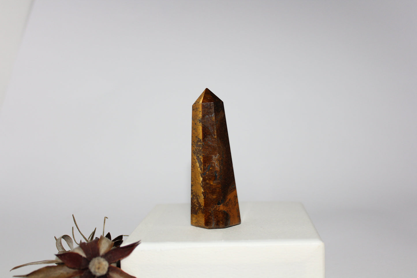 Generator - Tiger eye - med