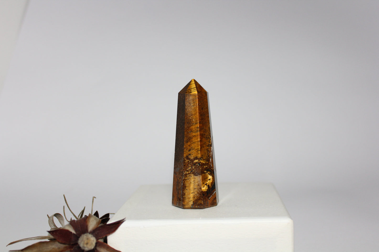 Generator - Tiger eye - med