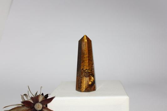 Generator - Tiger eye - med