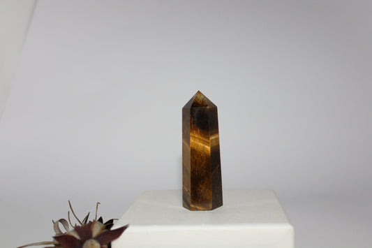 Generator - Tiger eye - med