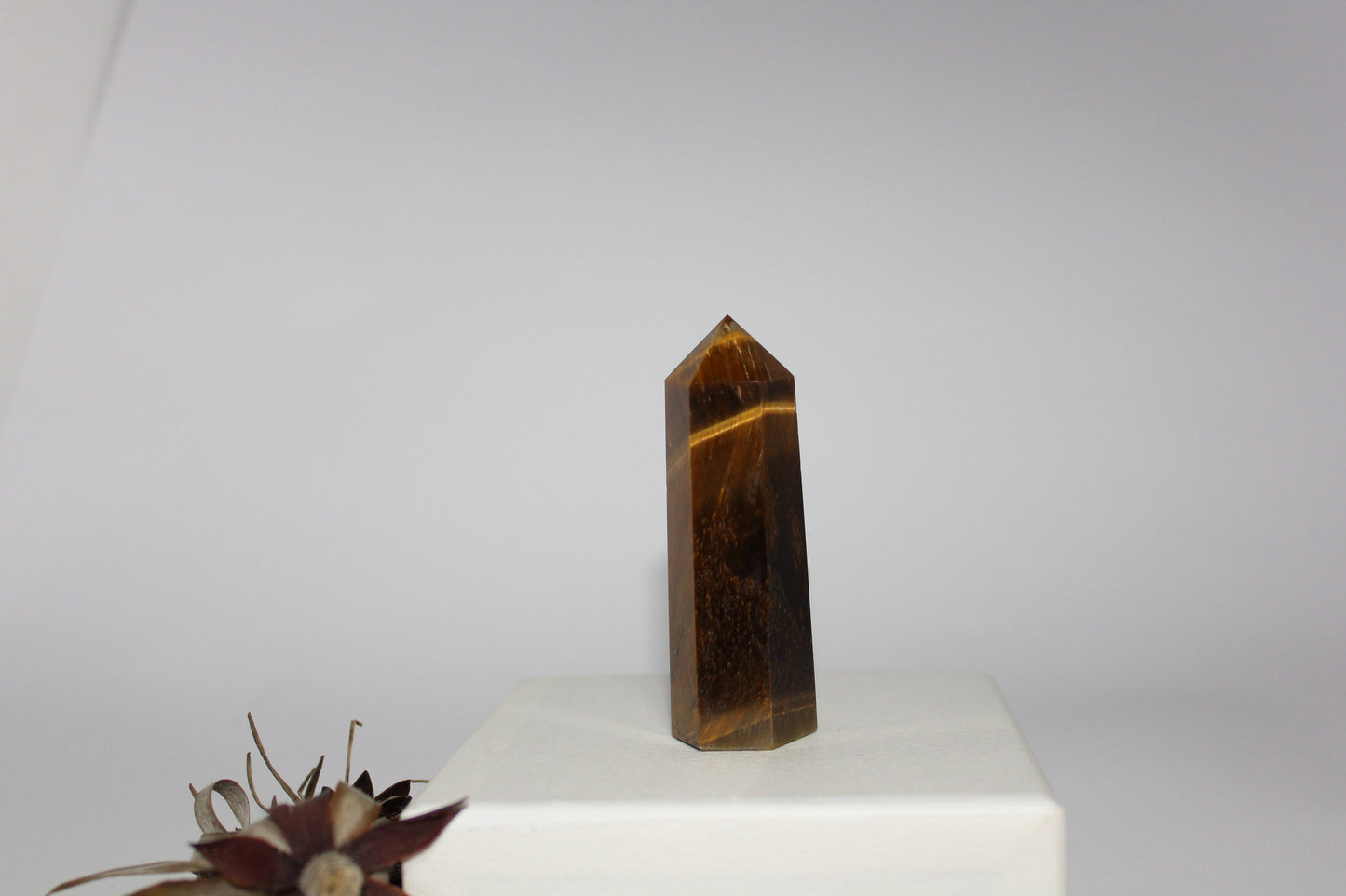 Generator - Tiger eye - med