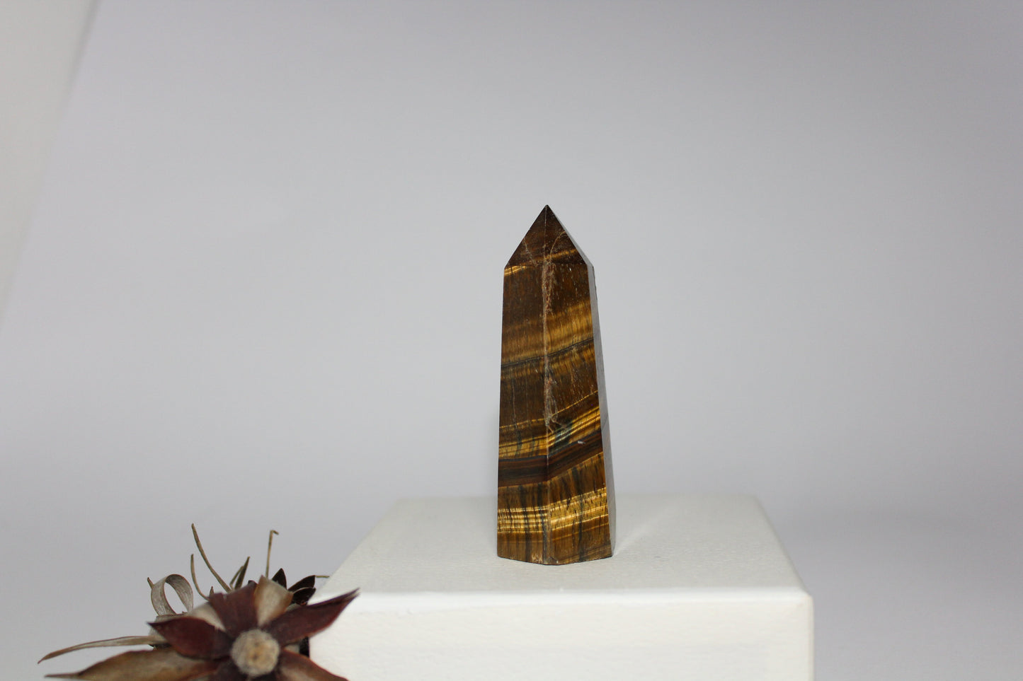 Generator - Tiger eye - med