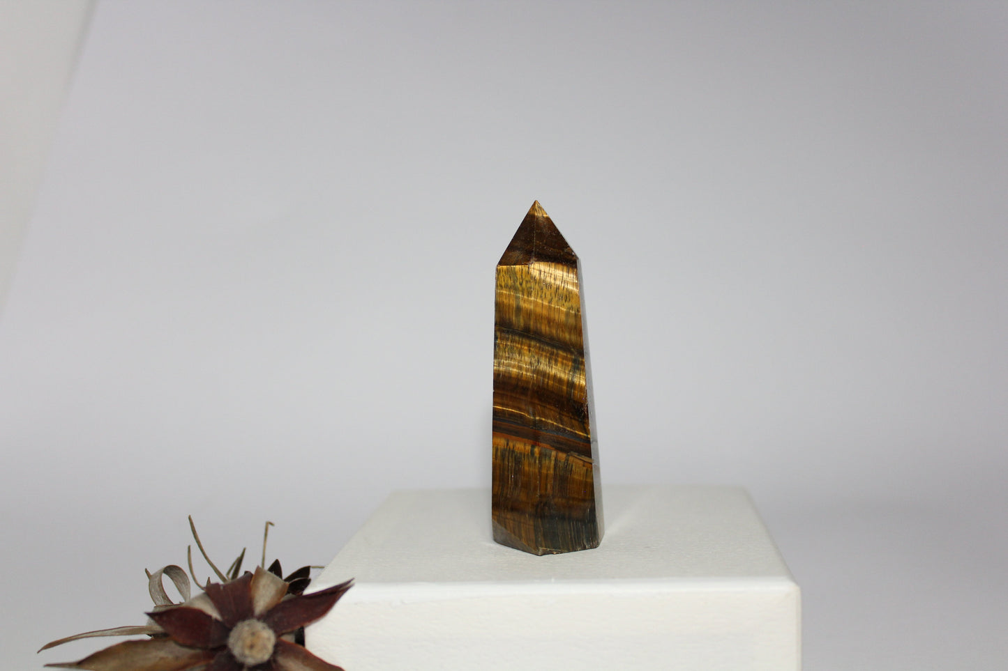 Generator - Tiger eye - med