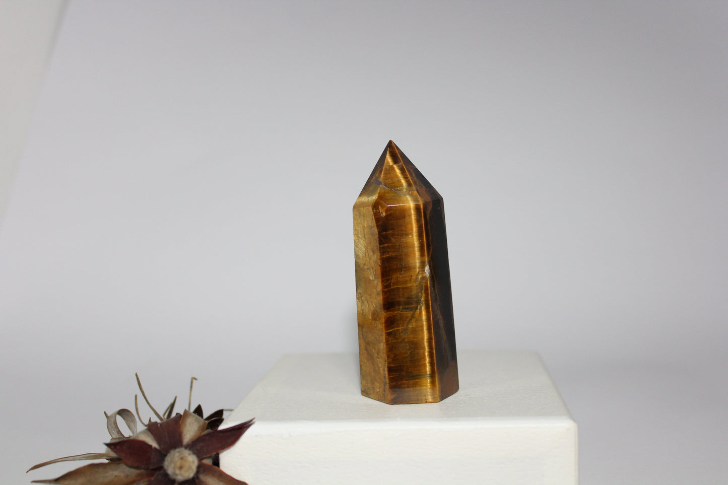 Generator - Tiger eye - med