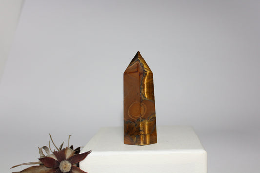 Generator - Tiger eye - med