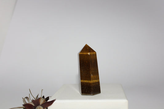 Generator - Tiger eye - med