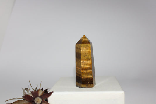 Generator - Tiger eye - med