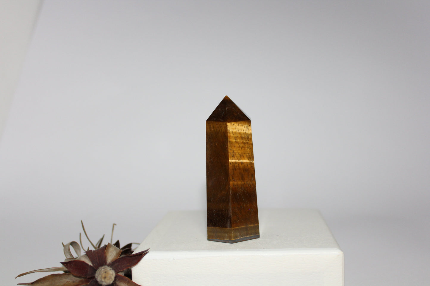 Generator - Tiger eye - med