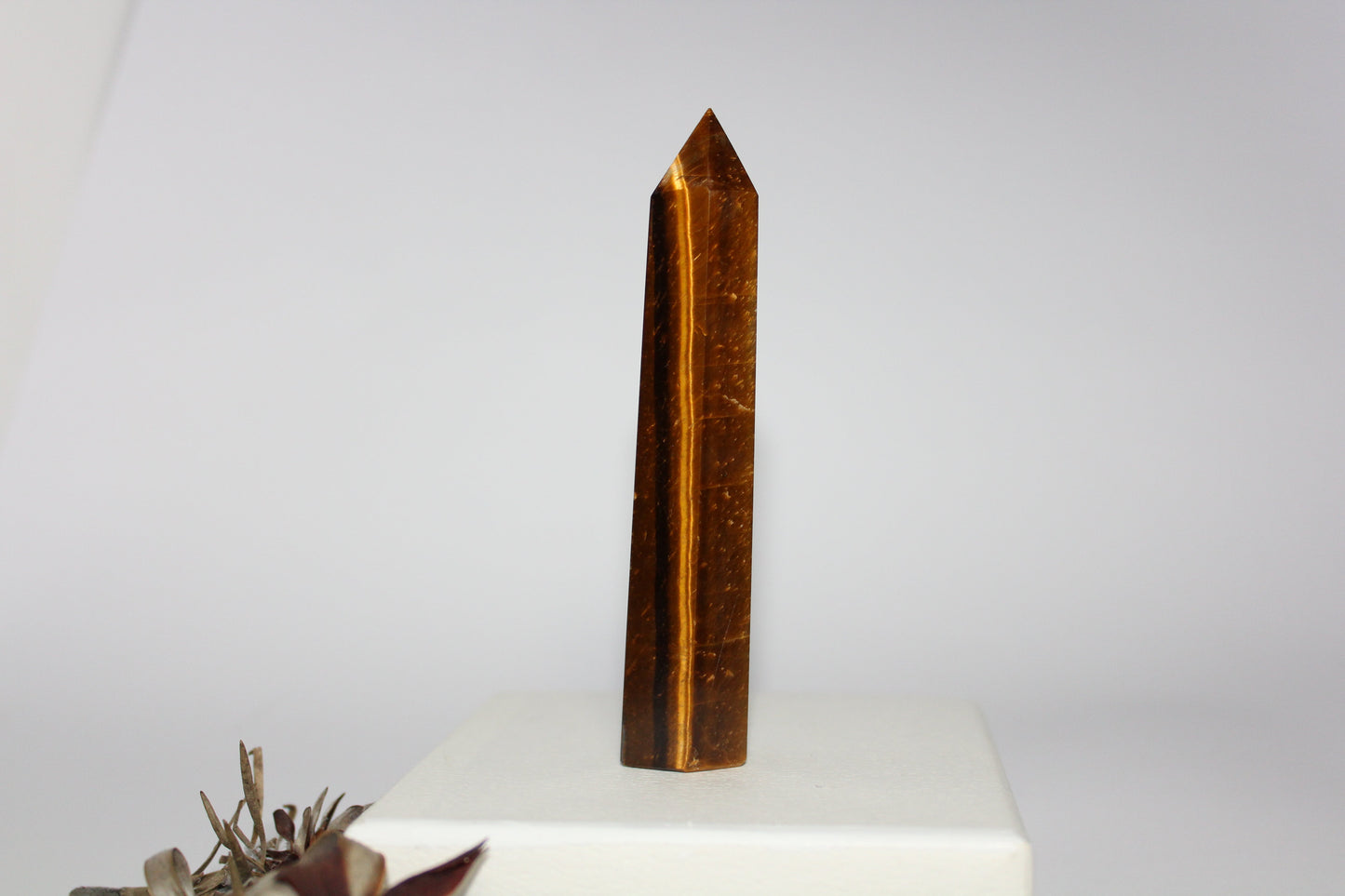 Generator - Tiger eye - med