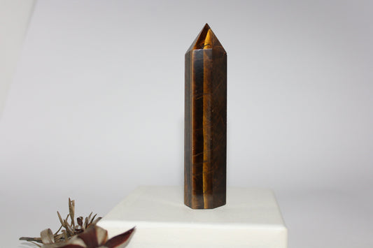 Generator - Tiger eye - med/lge