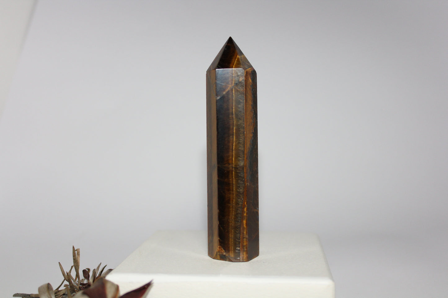 Generator - Tiger eye - med/lge