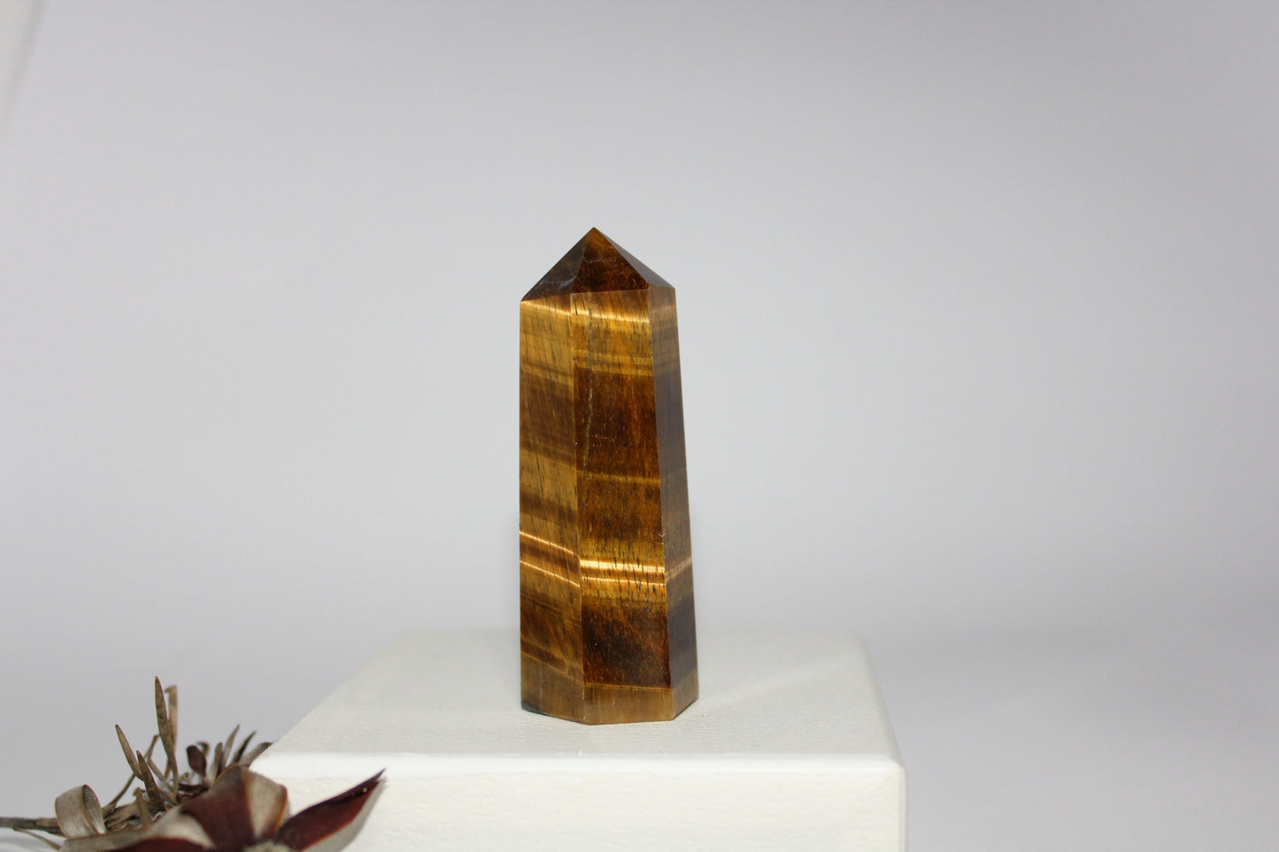 Generator - Tiger eye - med/lge