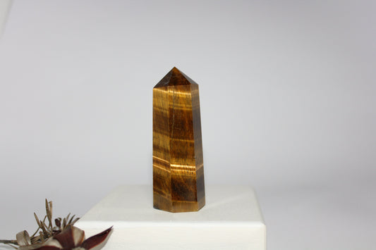 Generator - Tiger eye - med/lge