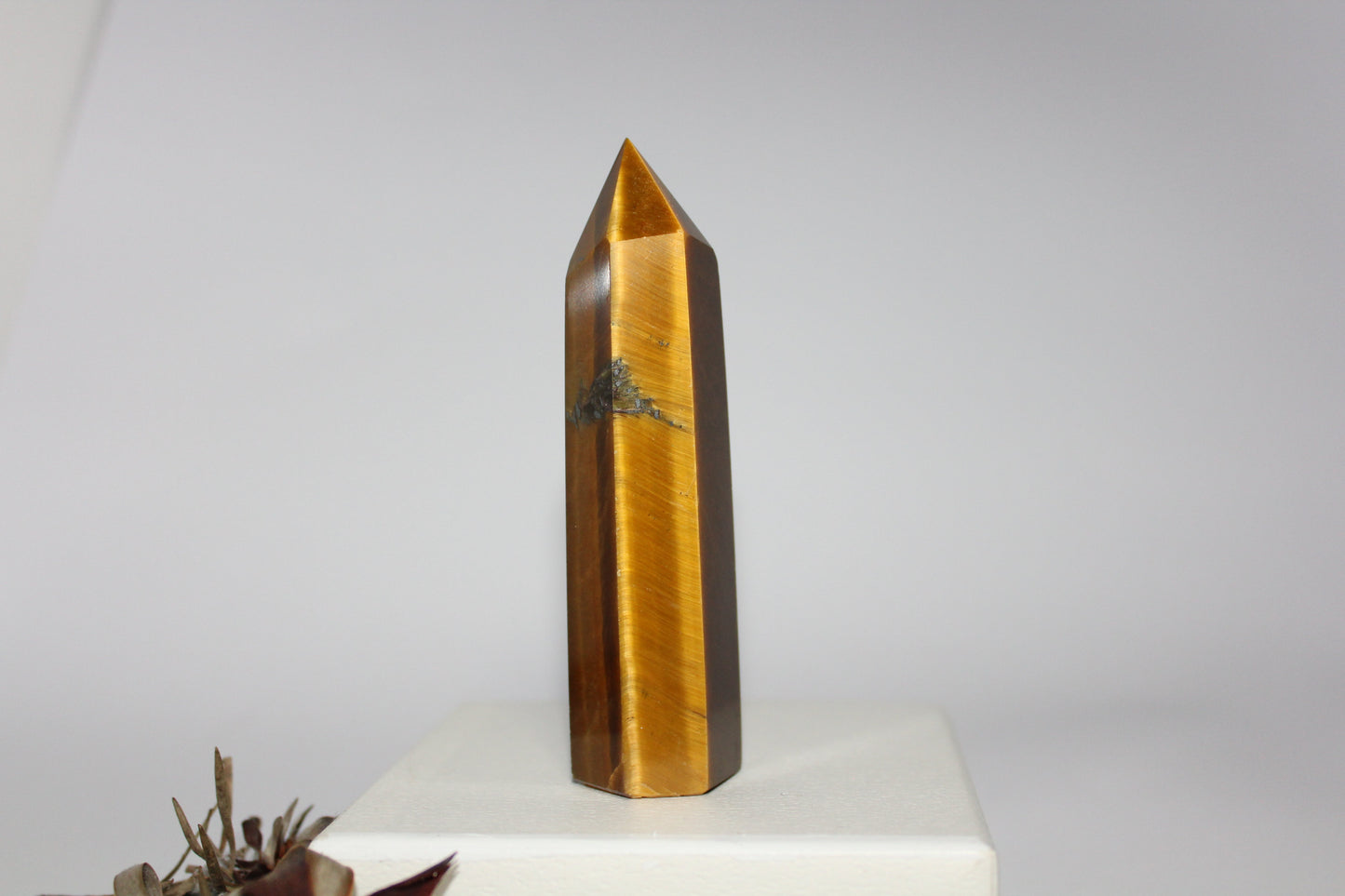 Generator - Tiger eye - lge