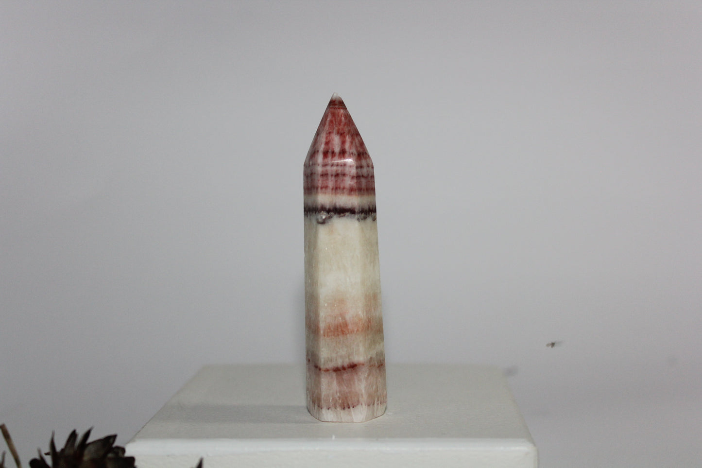 Generator - Tugtupite - sml