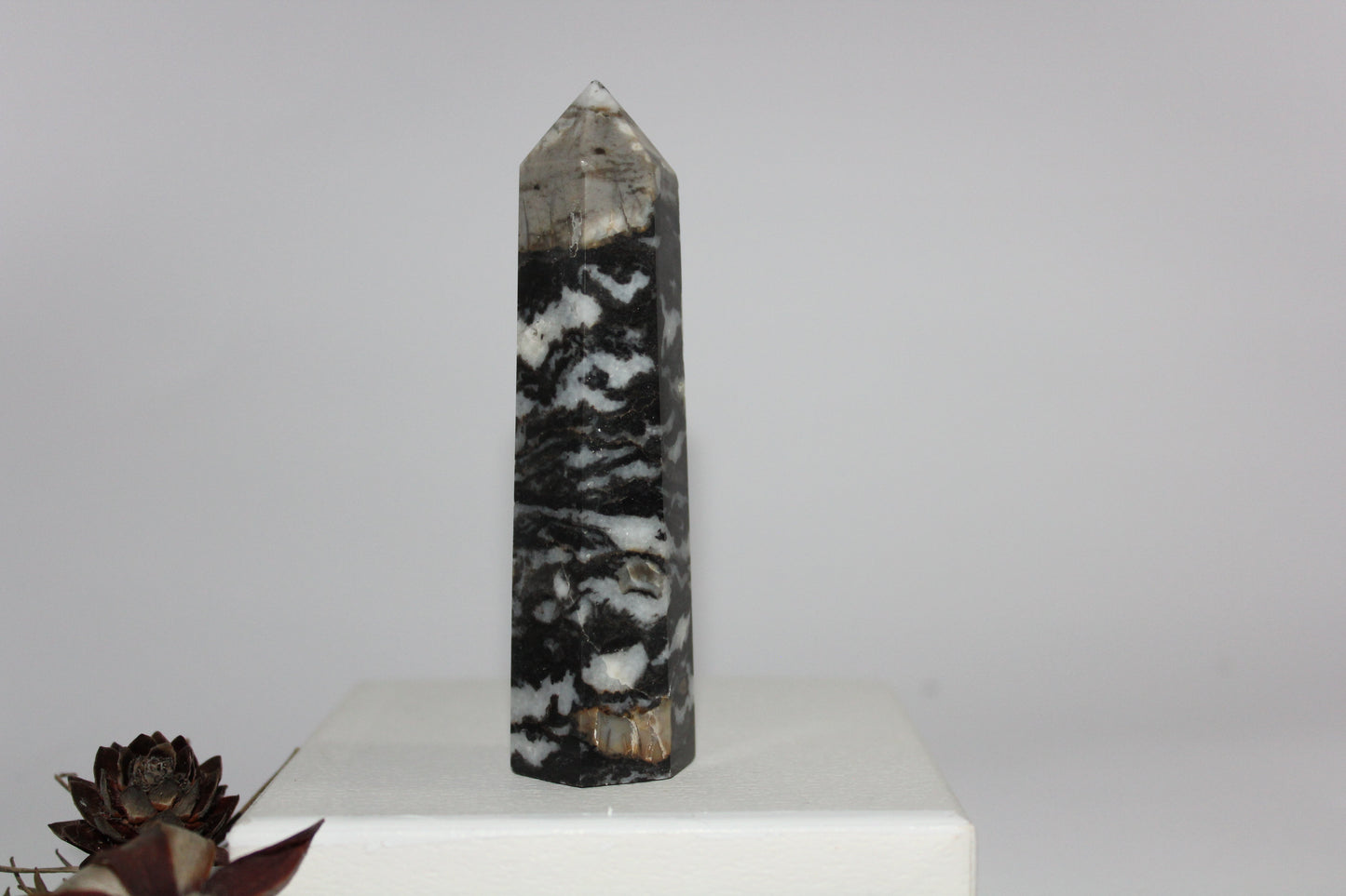 Generator - Zebra Marble - med