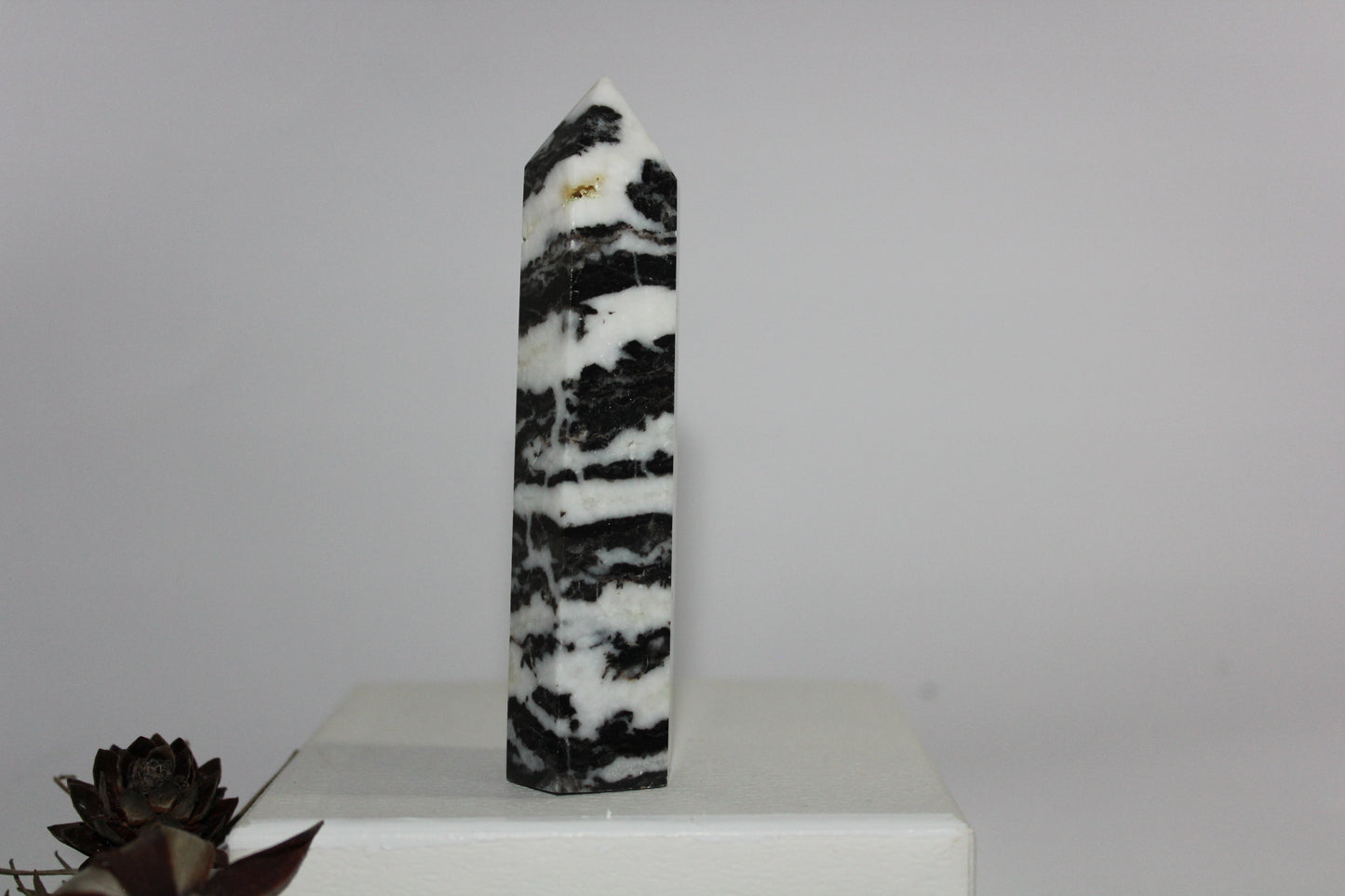 Generator - Zebra Marble - med