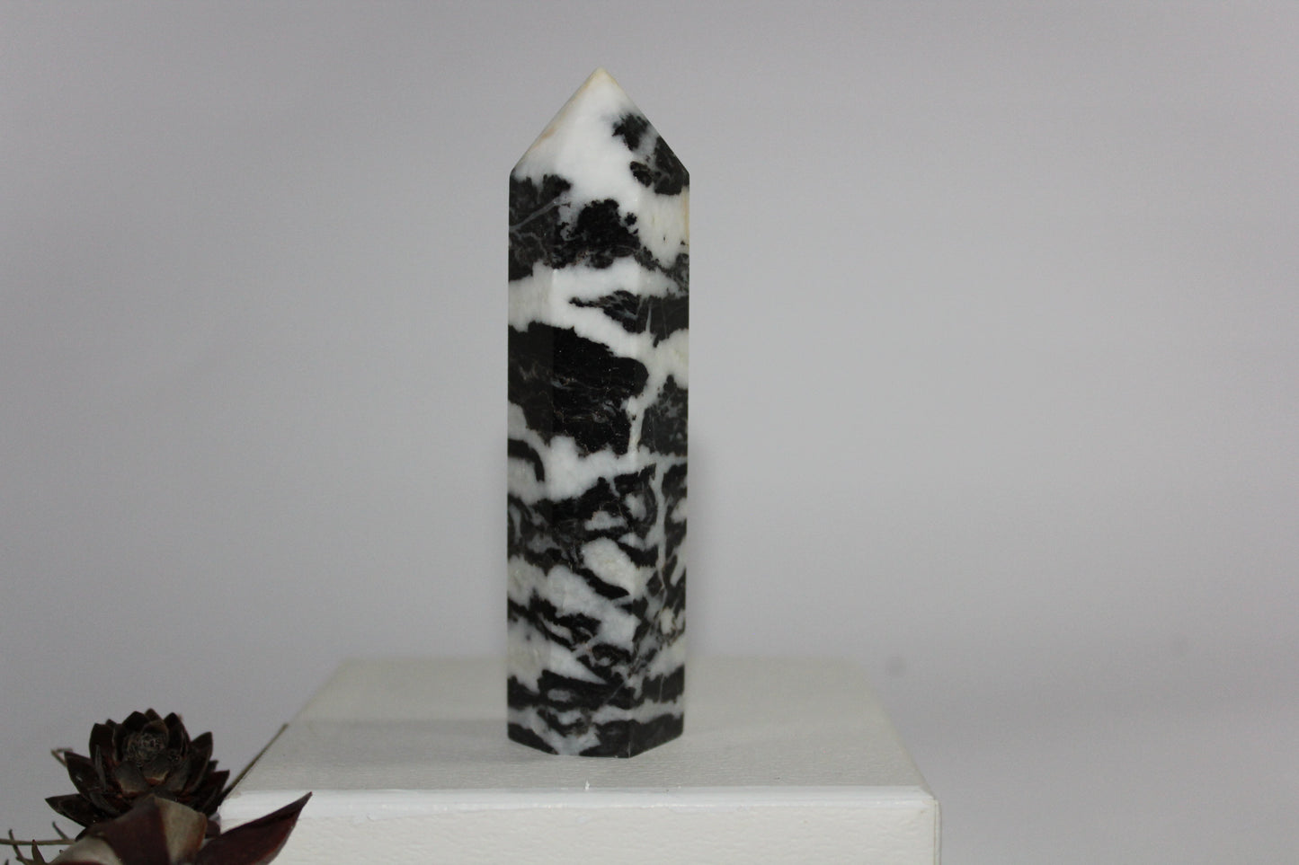 Generator - Zebra Marble - med