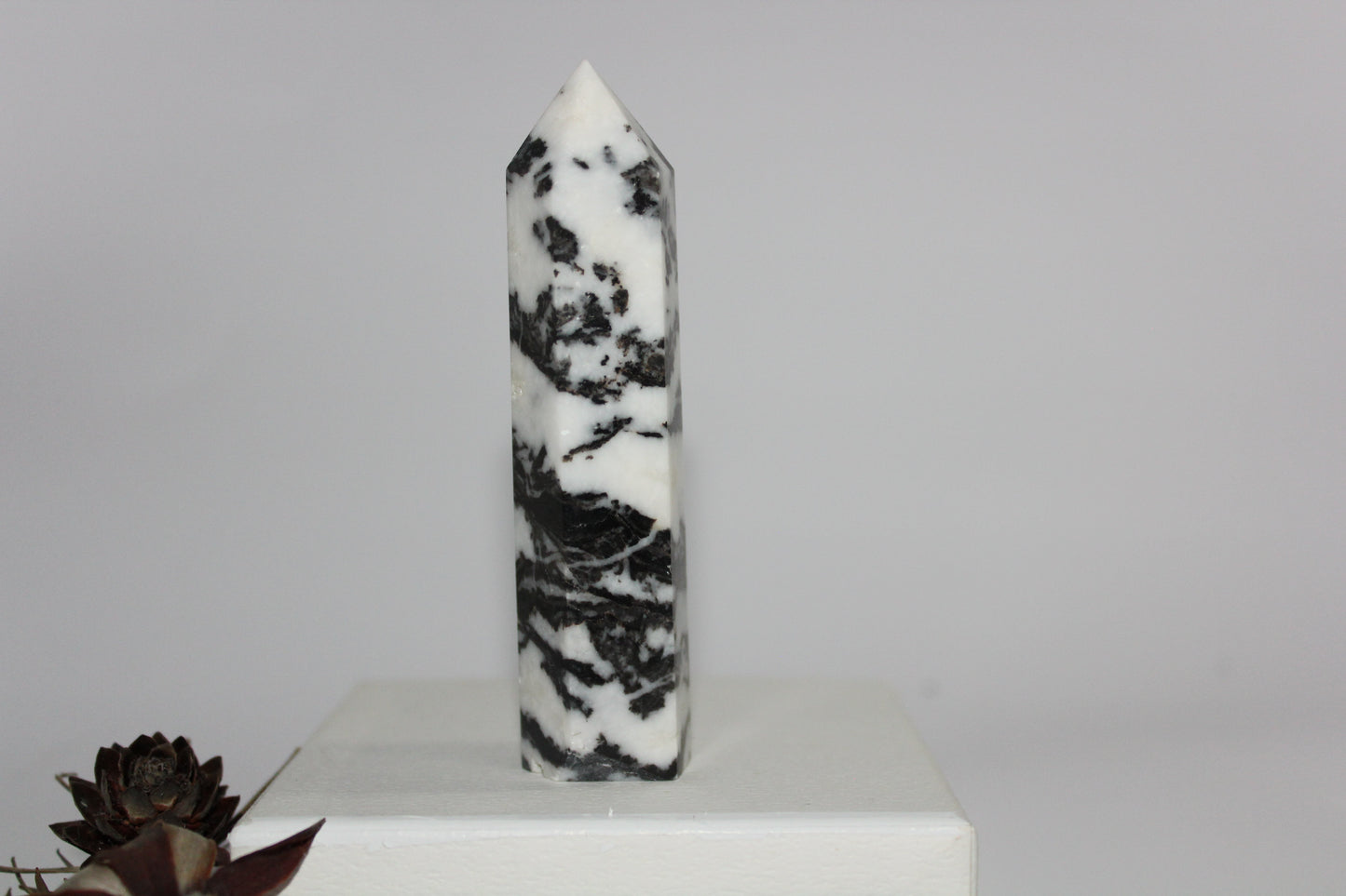 Generator - Zebra Marble - med/lge