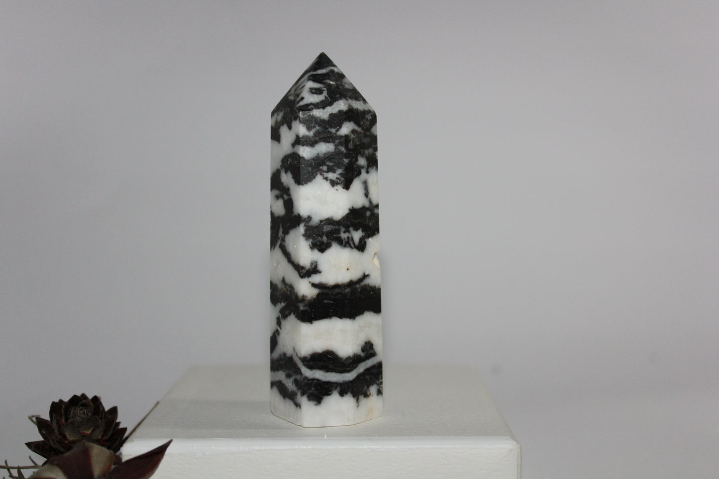 Generator - Zebra Marble - med/lge