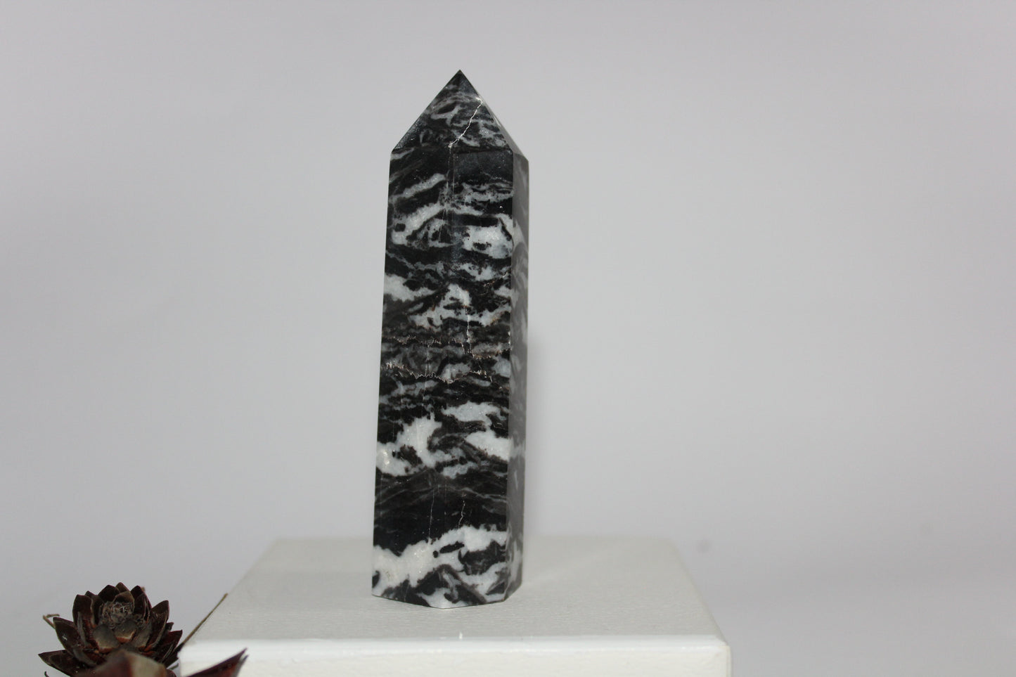 Generator - Zebra Marble - med/lge