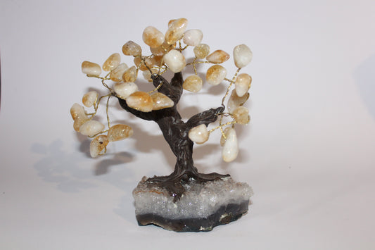 Tree - Citrine on Amethyst base (bonsai) - xlge