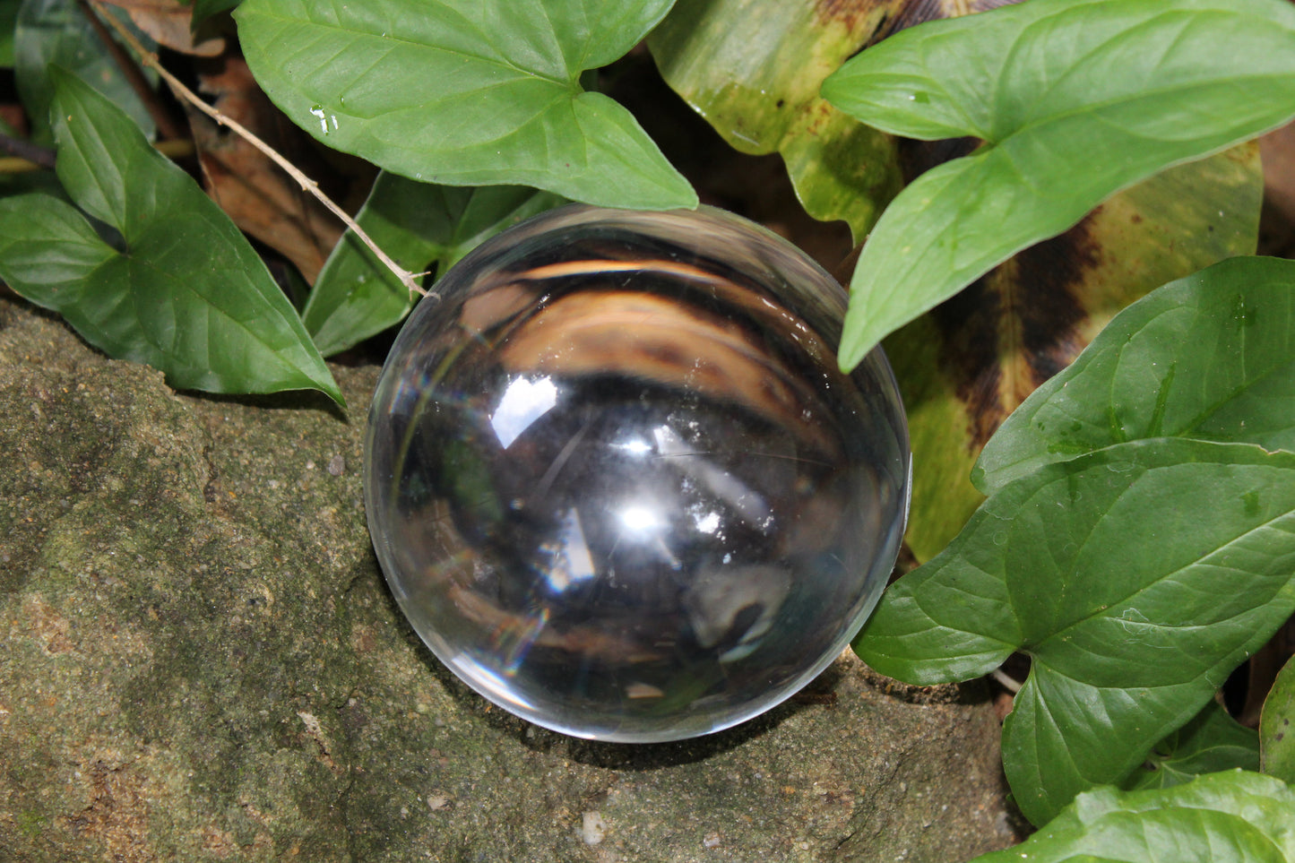 Sphere - Glass - Crystal ball (with timber stand) - lge