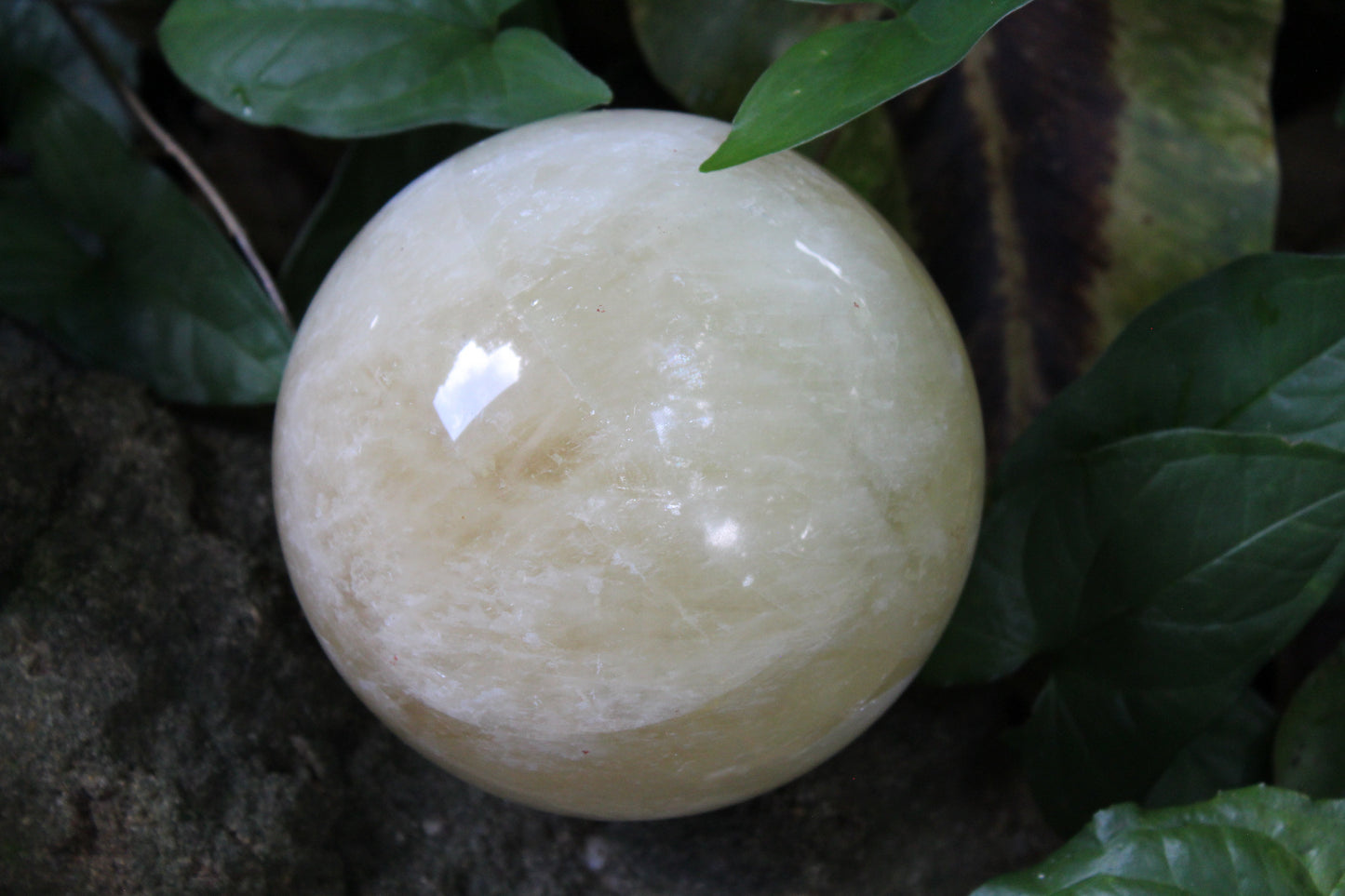 Sphere - Calcite - honey - xxlge