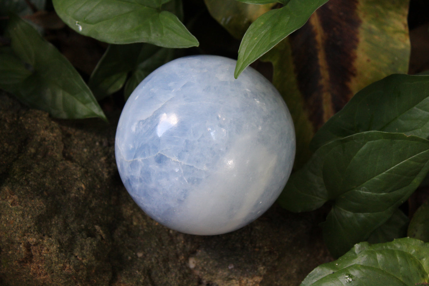 Sphere - Calcite - Blue - xlge
