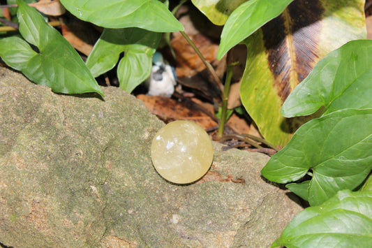 Sphere - Calcite - Honey - sml/med