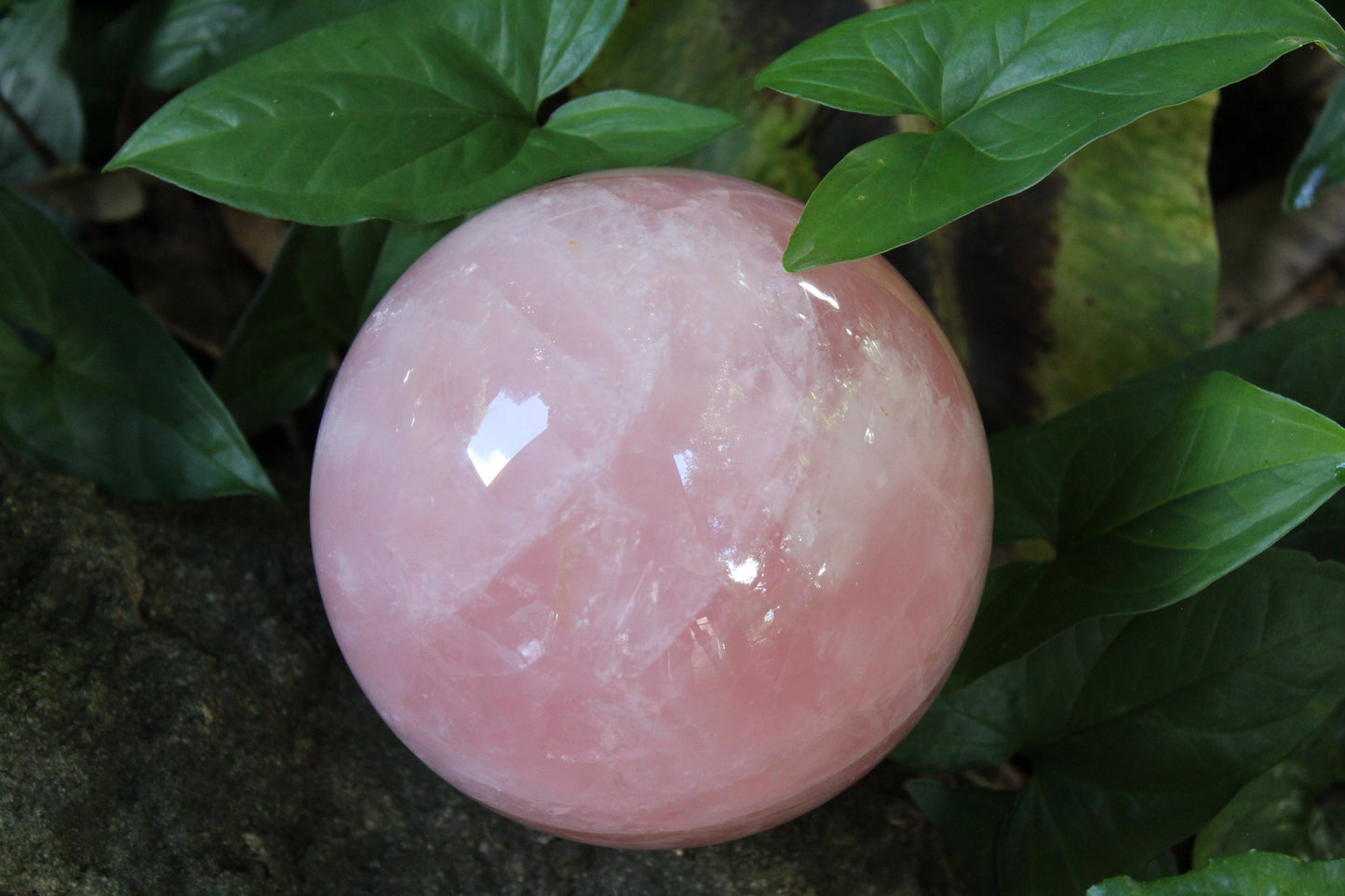 Sphere - Rose Quartz - xxlge