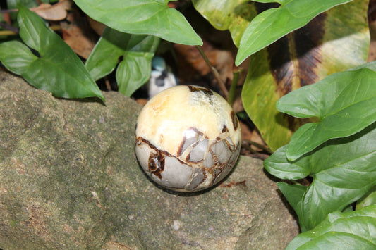 Sphere - Septarian - lge