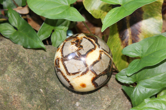 Sphere - Septarian - xlge