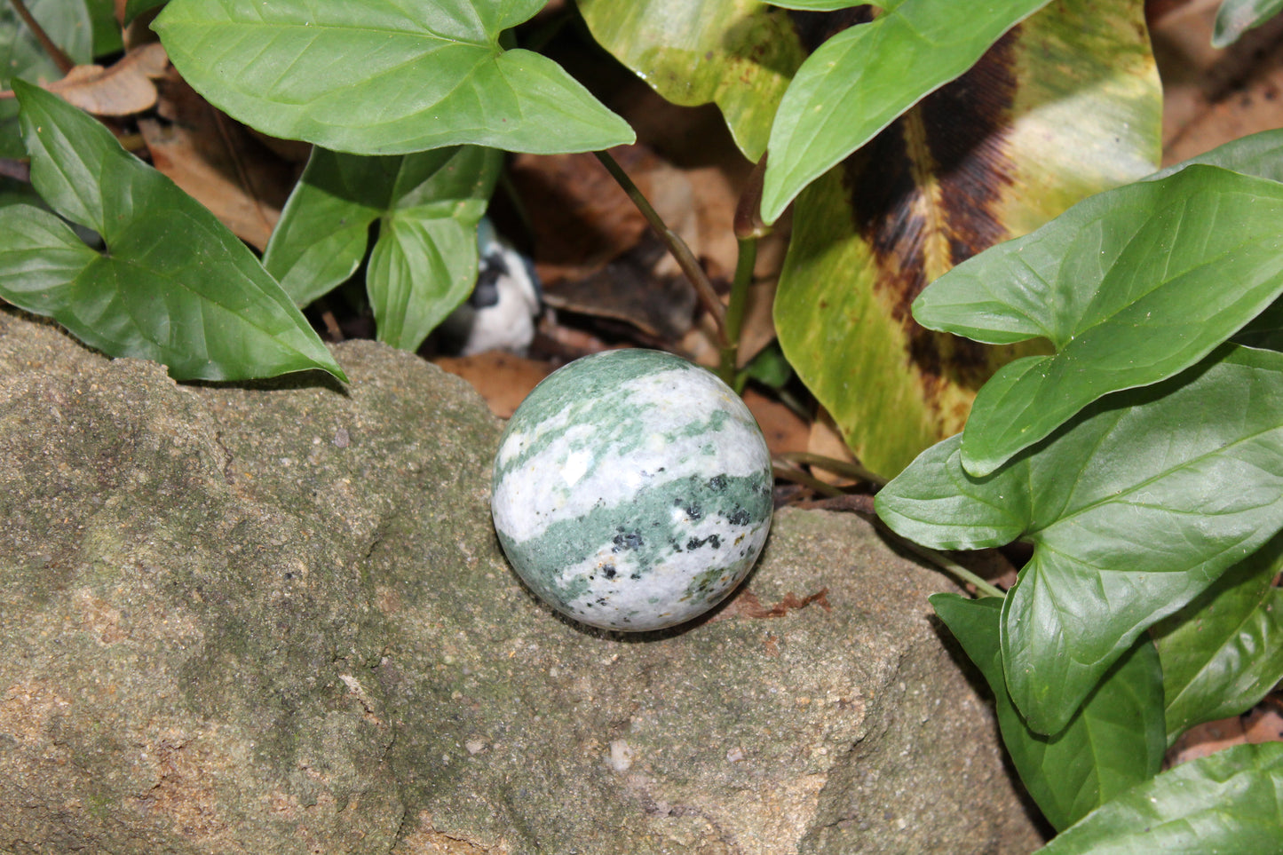 Sphere - Tree Agate - med/lge