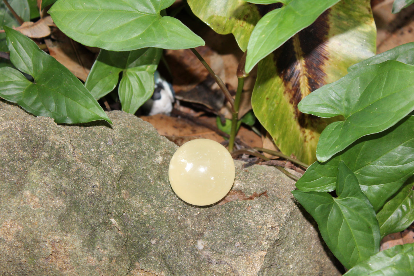 Sphere - Calcite - Honey - sml/med