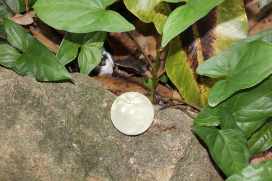 Sphere - Calcite - Honey - sml/med