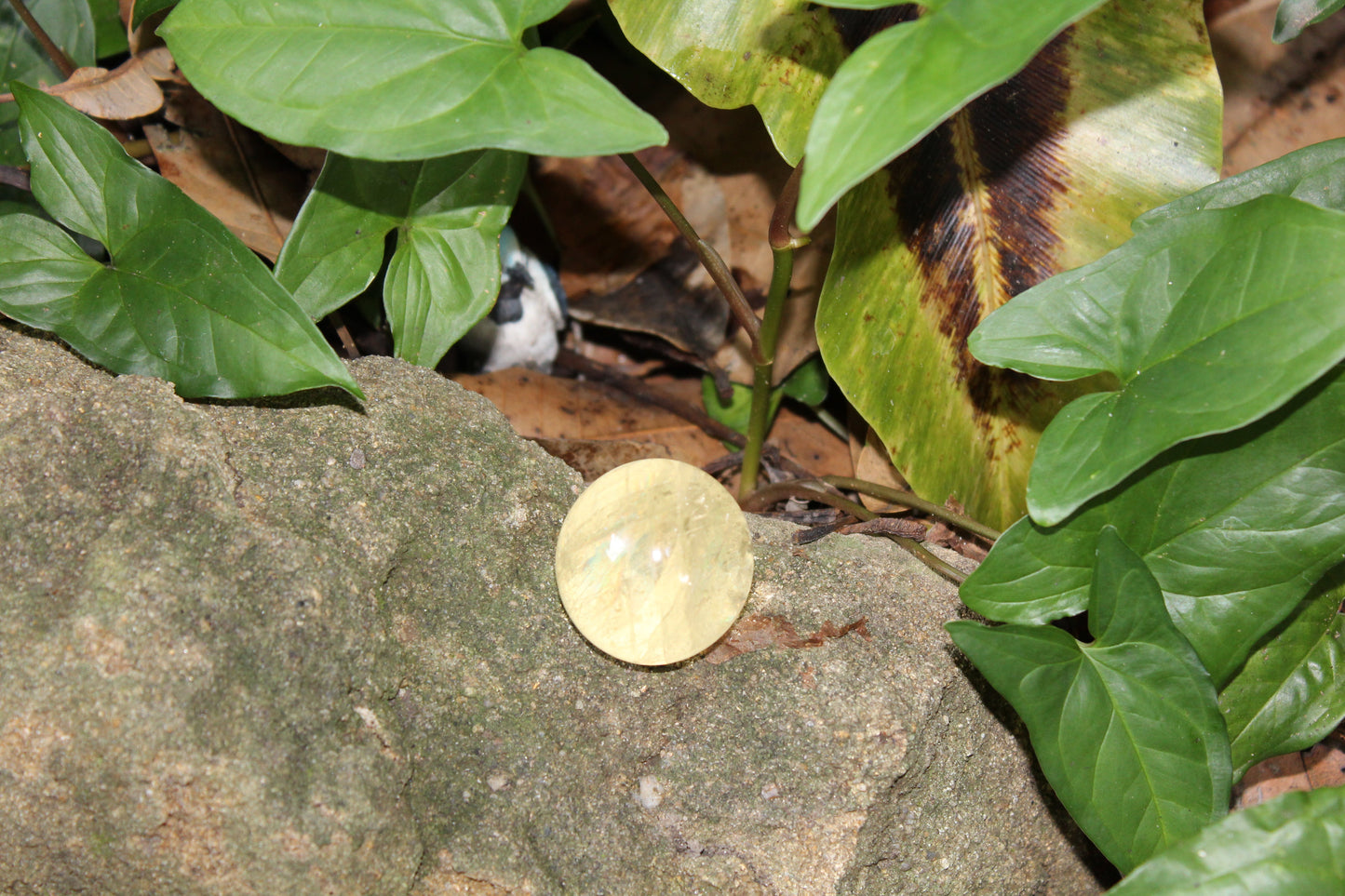 Sphere - Citrine - sml