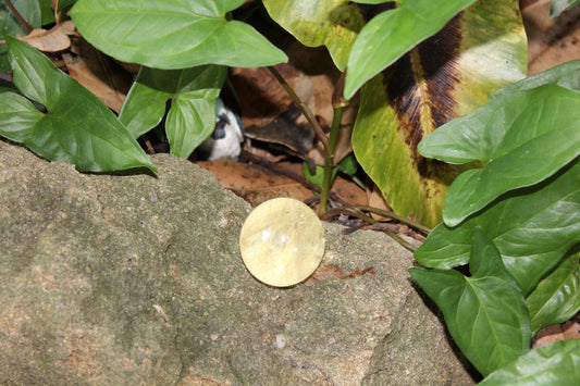 Sphere - Citrine - sml