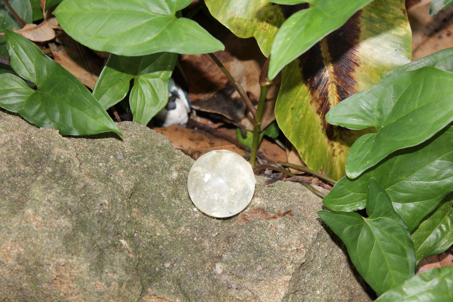 Sphere - Citrine - sml