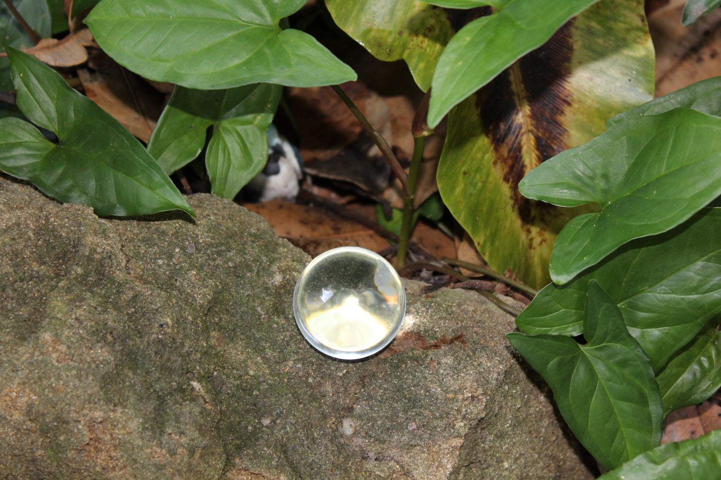 Sphere - Glass - Crystal Ball (40mm) - sml