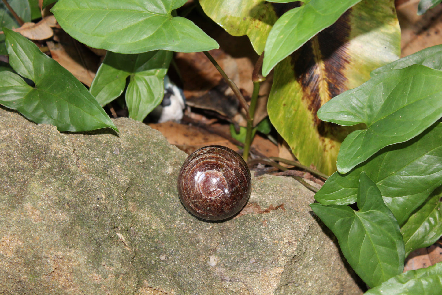 Sphere - Garnet - sml