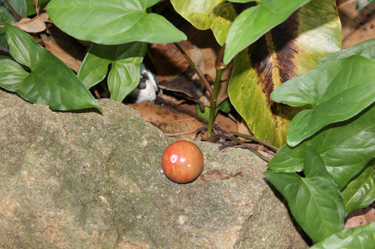 Sphere - Red jasper - sml