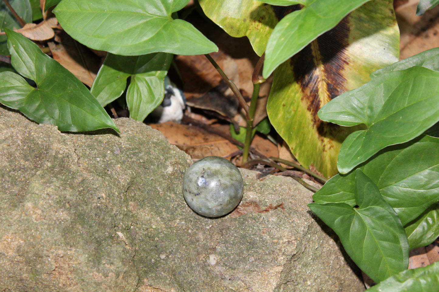 Sphere - Labradorite - sml