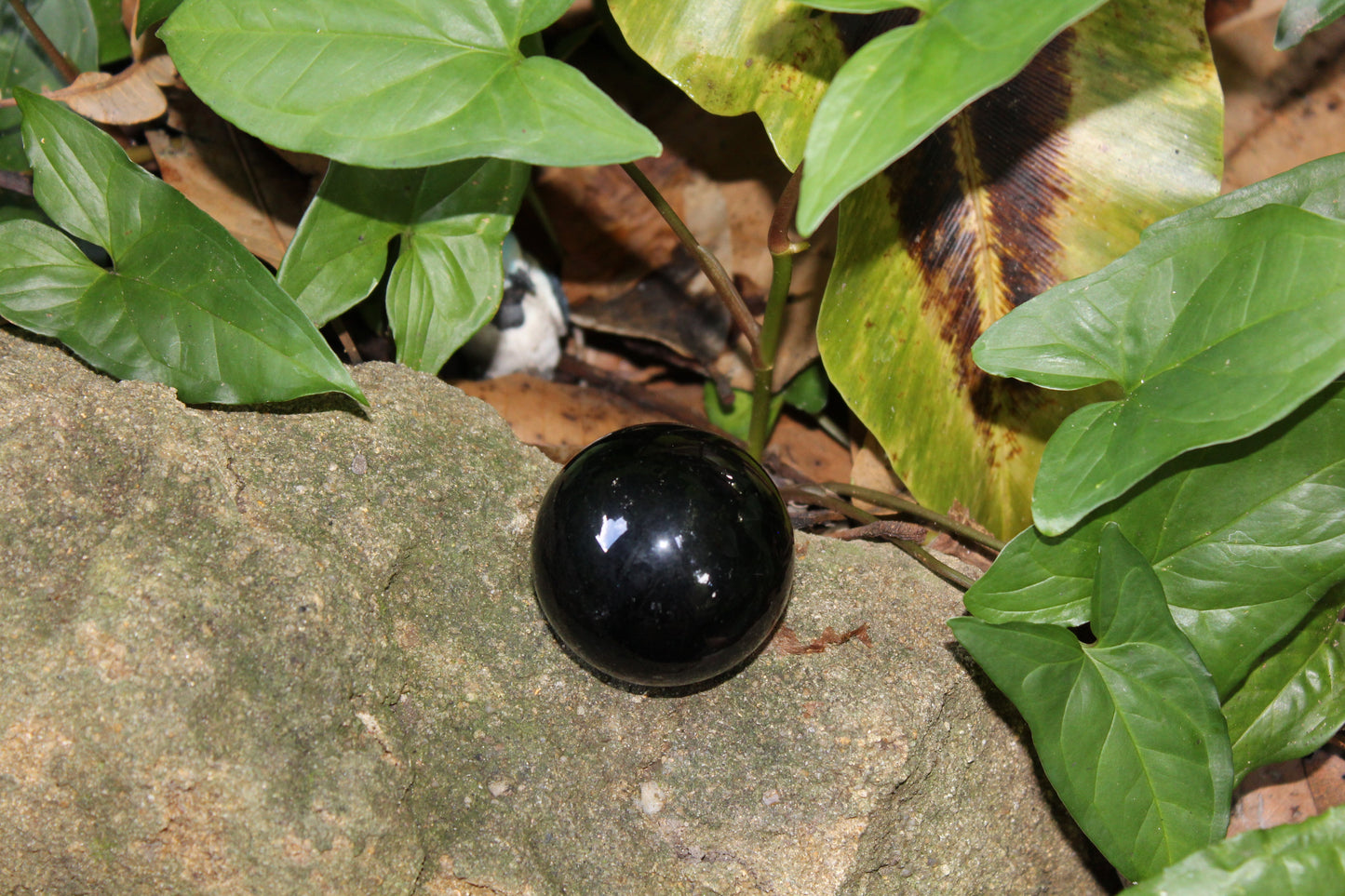 Sphere - Obsidian - med/lge