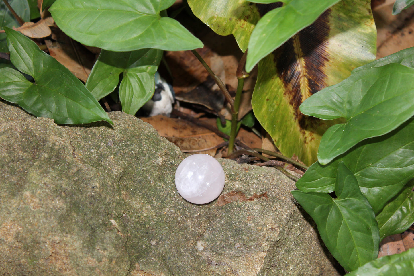Sphere - Rose Quartz - sml