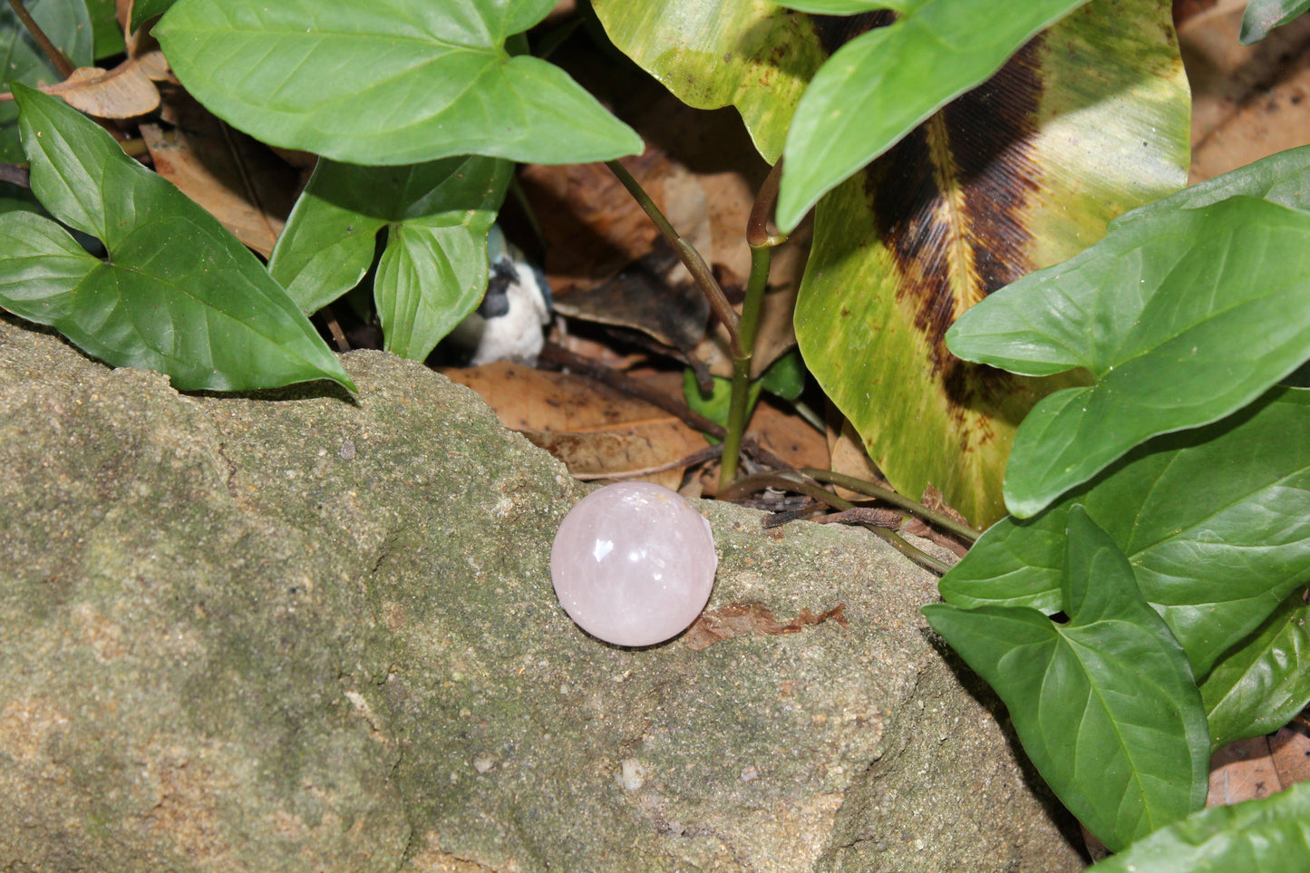 Sphere - Rose Quartz - sml
