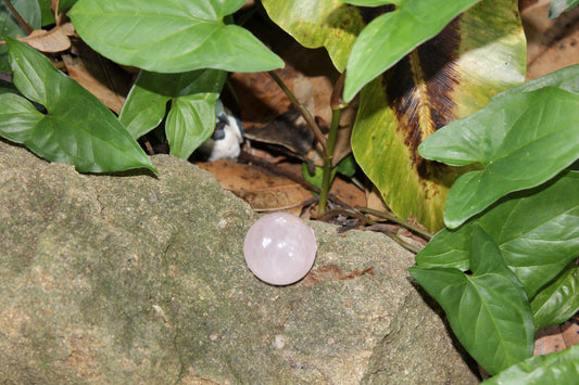 Sphere - Rose Quartz - sml